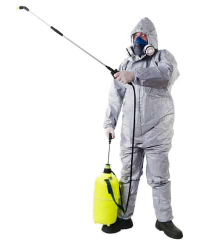 bird control allontanamento volatili