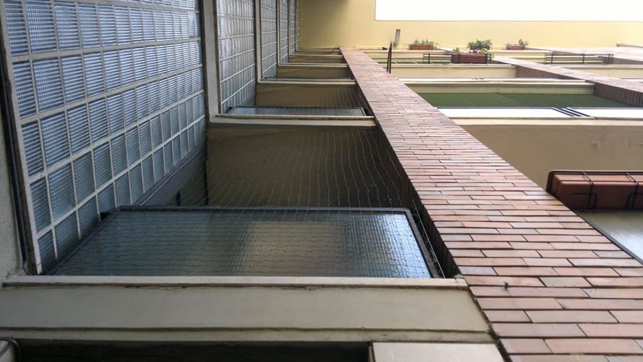Problema Piccioni Condominio a Chi Rivolgersi?