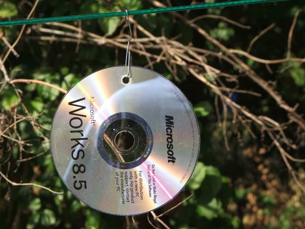 CD anti piccioni