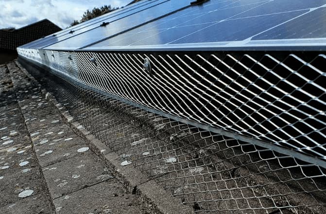 Barriere Anti Piccioni Fotovoltaico