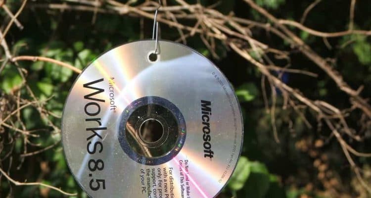 CD anti piccioni