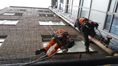 Disinfestazione Piccioni Prezzi