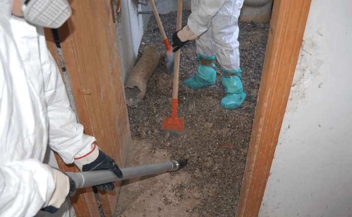Pulizia Guano e Sterilizzazione Ambienti