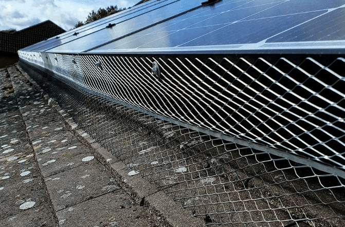 Barriere Anti Piccioni Fotovoltaico