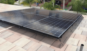 piccioni sotto impianto fotovoltaico